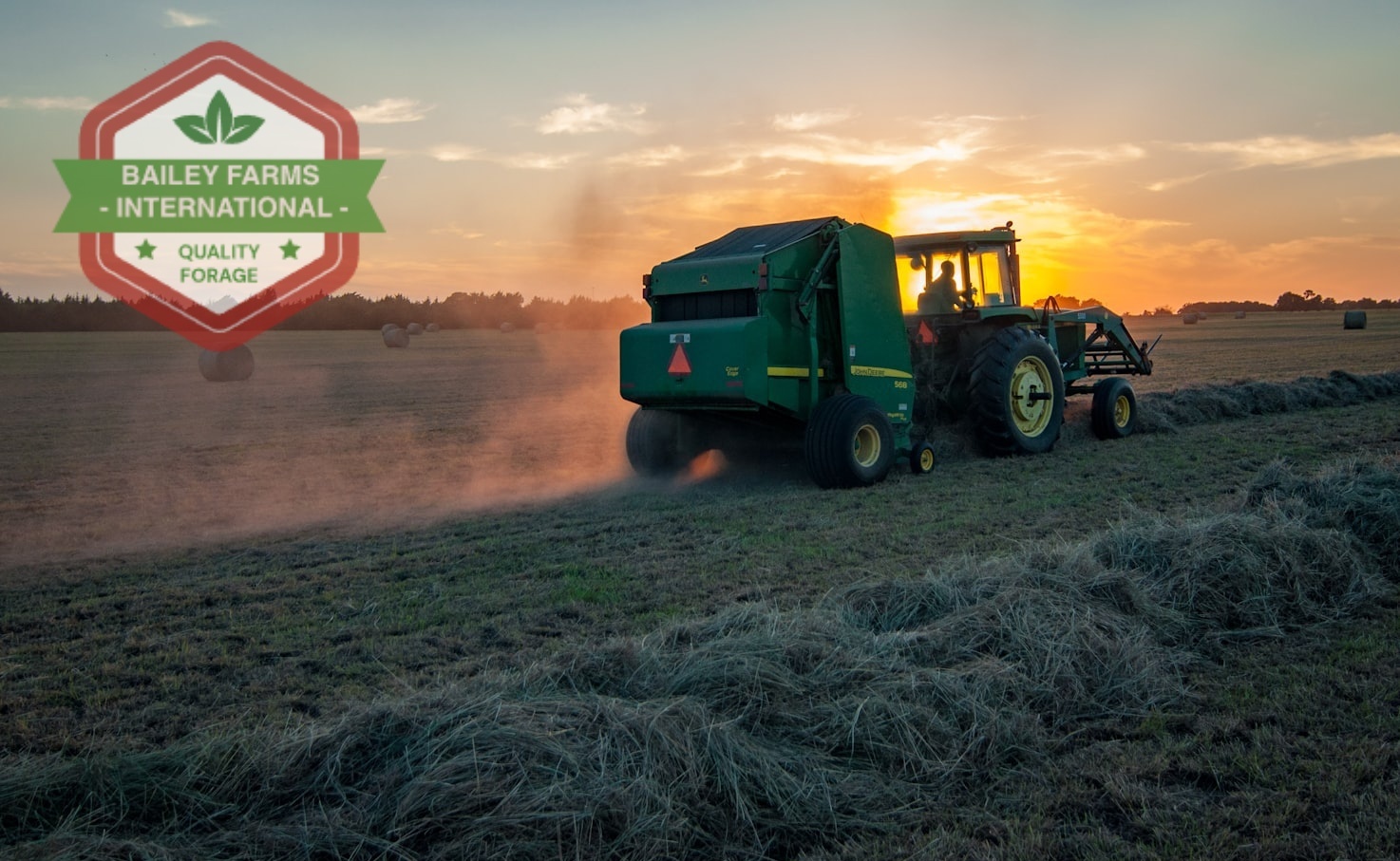 hay bales for sale Bailey Farms International